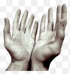 Hands Transparent Png Images - Sorry For Being A Disappointment