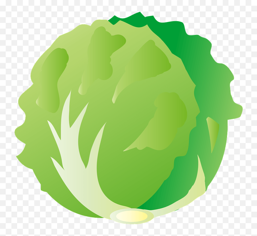 Lettuce Vegetable Clipart Free Download Transparent Png - Lettuce Logo,Lettuce Png