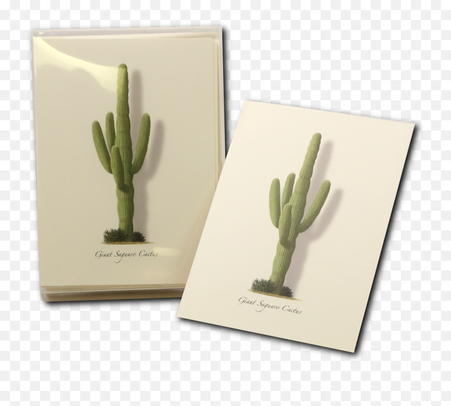 Giant Saguaro Boxed Notes - Hedgehog Cactus Png,Saguaro Png