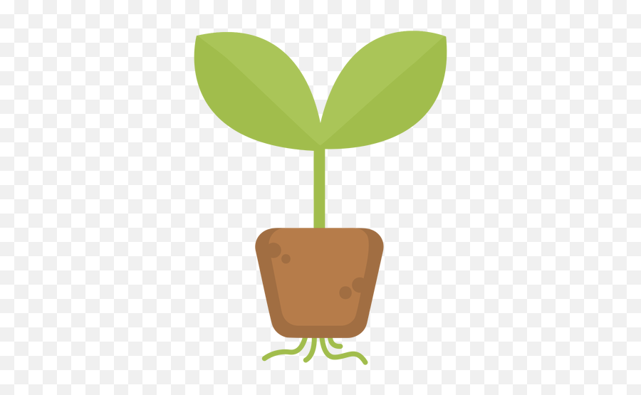 Cute Plant Roots - Transparent Png U0026 Svg Vector File Illustration,Roots Png