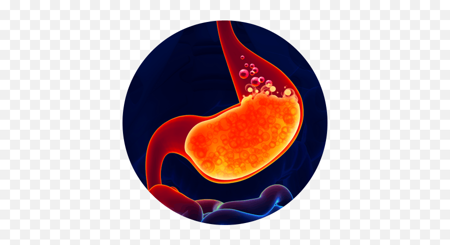 Png Download How Eno Works In Stomach - Acidity Images In Png,Stomach Png