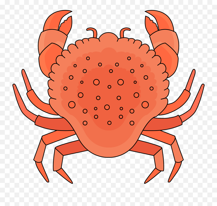 Clipart - Freshwater Crab Png,Crab Clipart Png