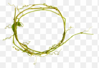 Download Flower Branch Design Holi Floral Twig Clipart Png - Illustration,Twig Png