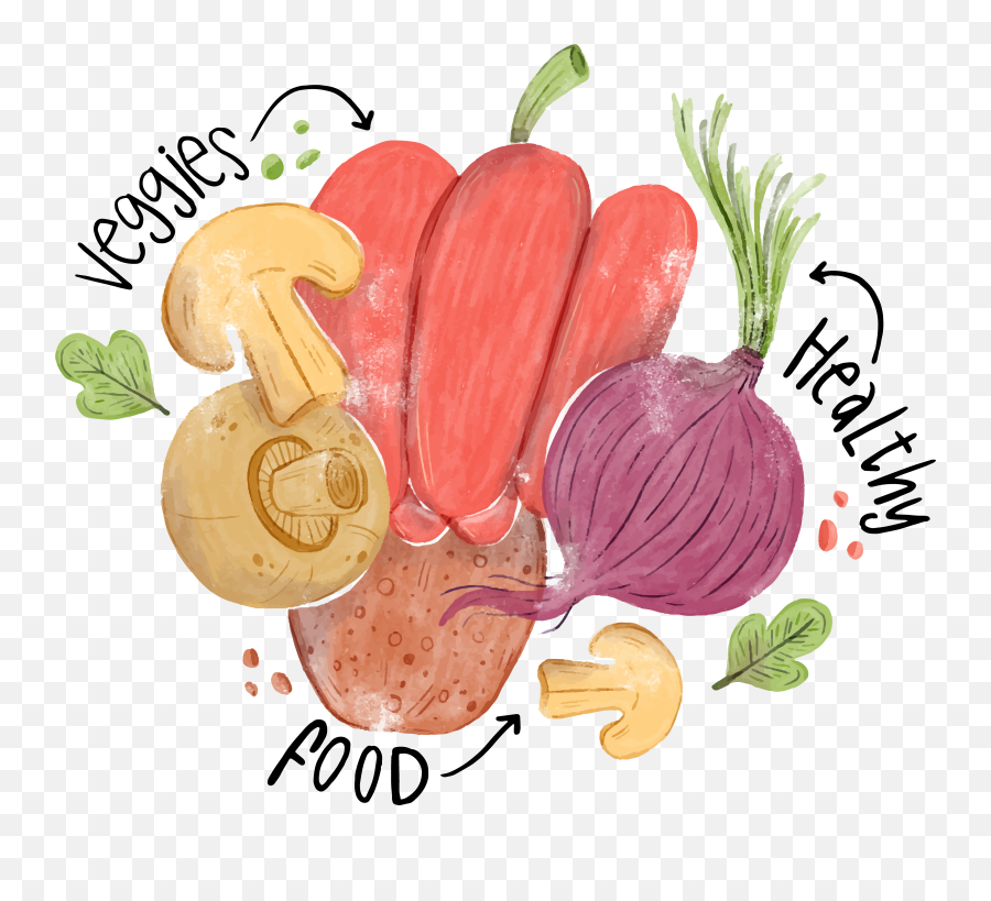 Download Hd Vector Vegetables Watercolor - Food Transparent Healthy Food Watercolor Png,Veggies Png