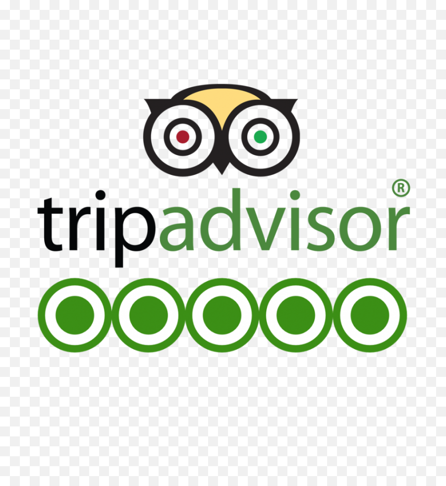 Download Tripadvisor - Tripadvisor Png,Tripadvisor Logo Png