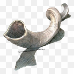 Christian Clip Art Review Drawing Of A Twisted Shofar - Curved Png,Shofar Png
