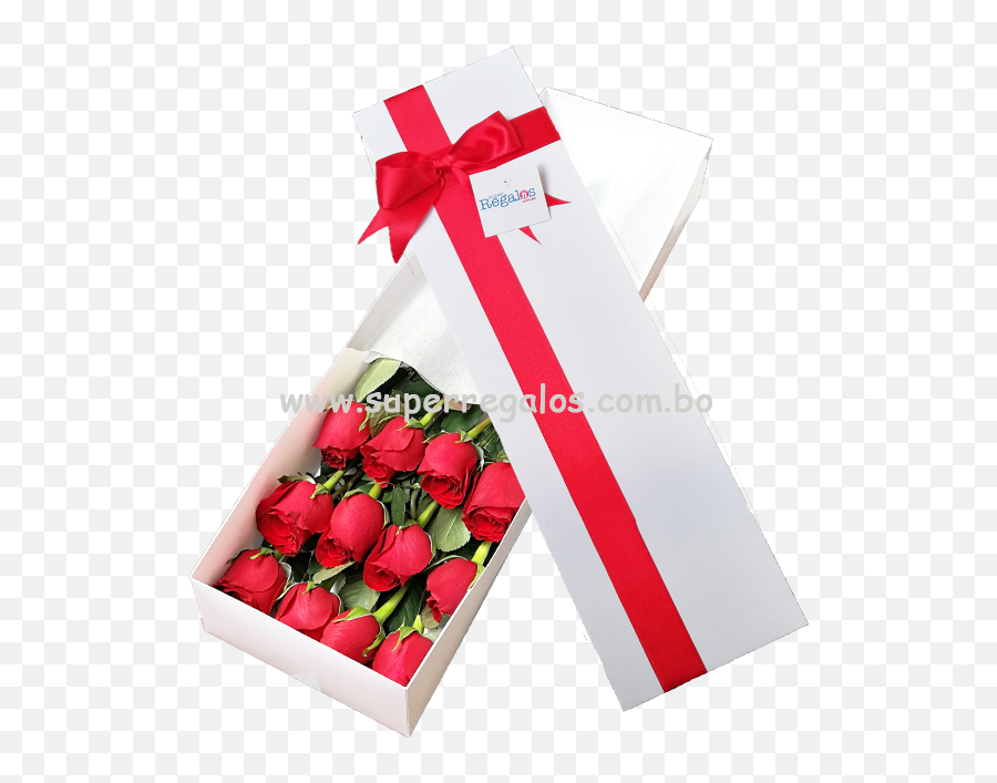 Caja Con 12 Rosas Rojas Png