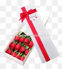 Caja Con 12 Rosas Rojas Png