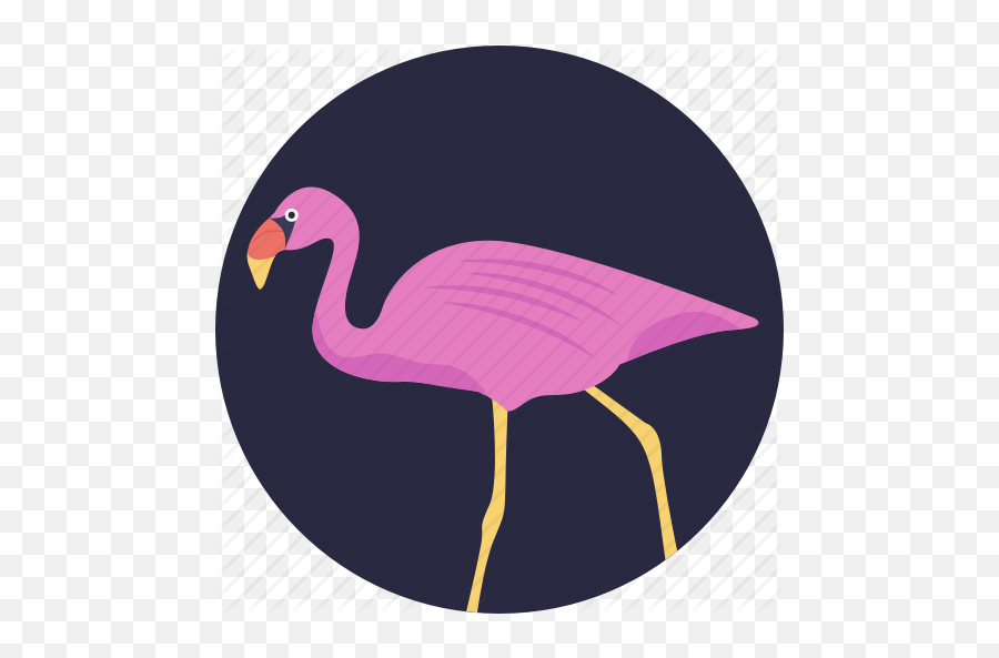 Animal Bird Crane Flamingo Gruidae Icon - Download On Iconfinder Soft Png,Crane Bird Png