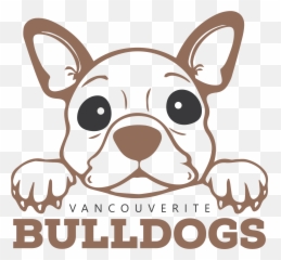 French Bulldogs Puppies U2013 - Dibujo Hocico De Un Perro Png,French Bulldog Png
