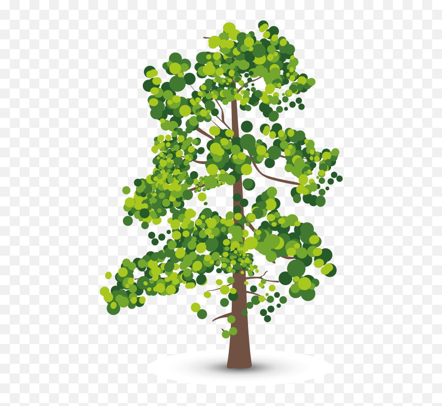Download Aspen Tree Creative - Leafy Tree Clip Art Png,Aspen Tree Png