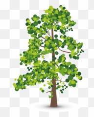 Download Aspen Tree Creative - Leafy Tree Clip Art Png,Aspen Tree Png