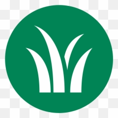 Our Story And Beliefs Jonathan Green - Meghdoot Cinema Png,Grass Icon