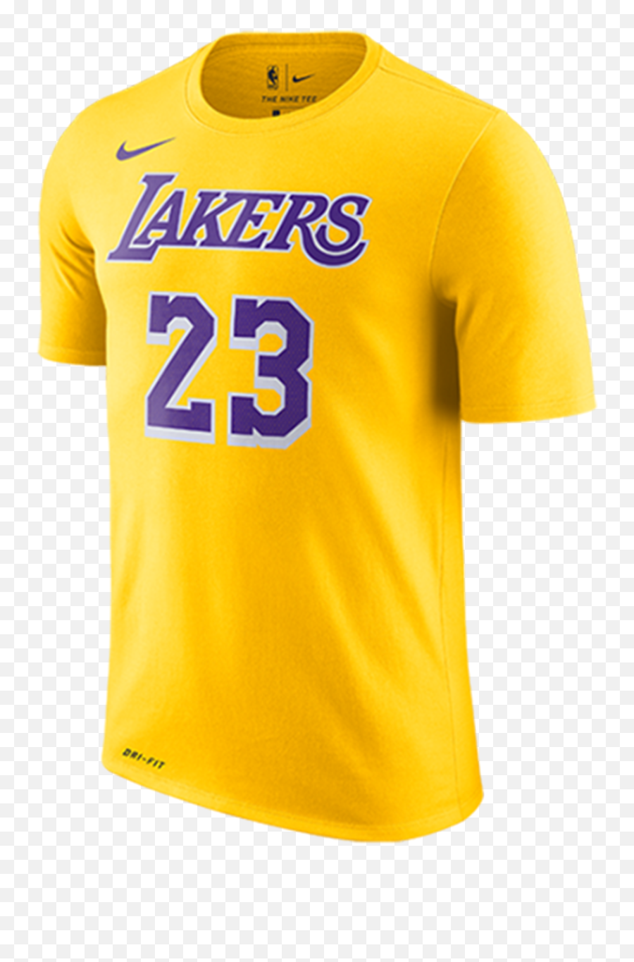 Icon Lebron James Youth Los Angeles - T Shirt Lakers James Nike Png,Player 1 Icon