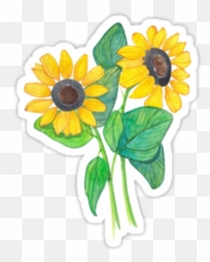 Tumblr Flowers Sticker Png Picsart - Transparent Stickers