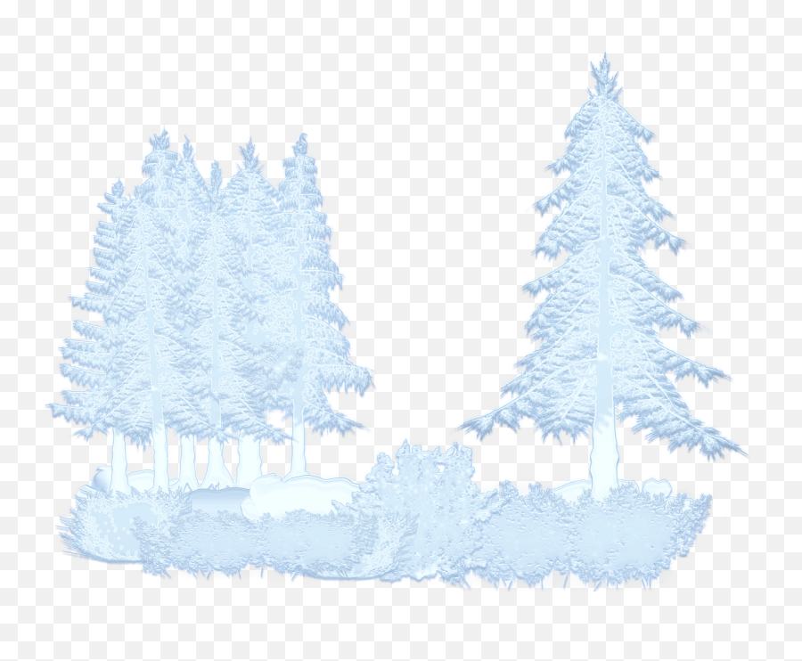Free Photo Nature Path Winter Landscape Trees Snow Mountains - Snow Forest Transparent Png,Snowy Trees Png