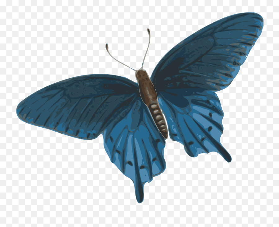 Butterfly Animation Png 2 Image - Butterflies Flying Gif Png,Blue  Butterflies Png - free transparent png images 