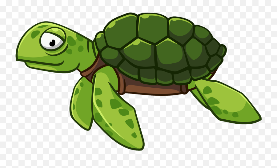 Turtle Png Clipart Transparent - Sea Turtle Clipart Png,Cute Turtle Png