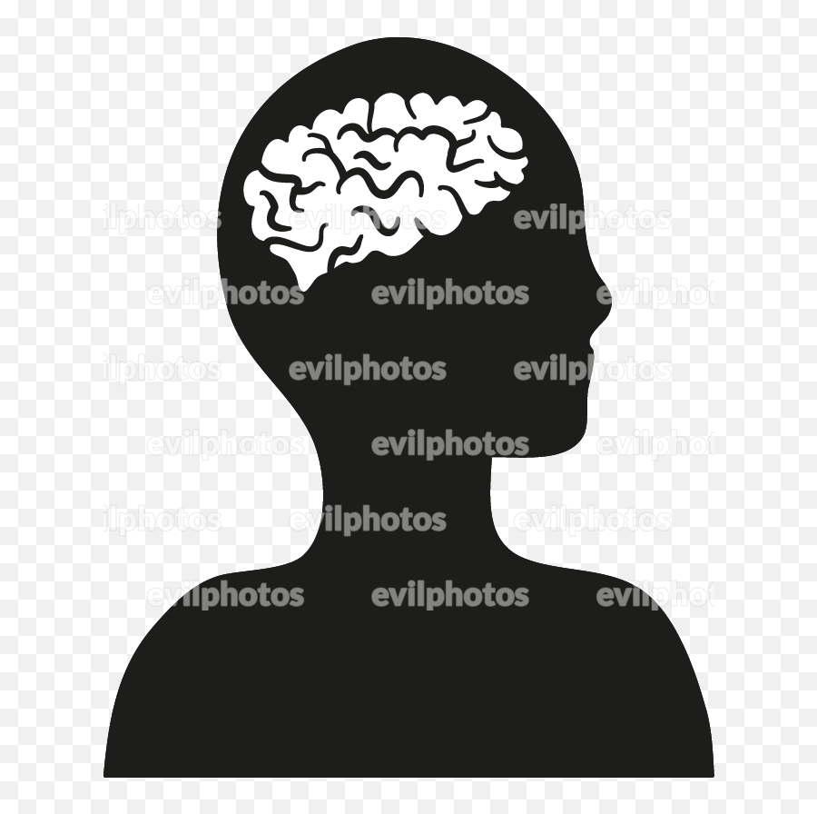 Brain Drawing - Drawing Png,Brain Transparent Background