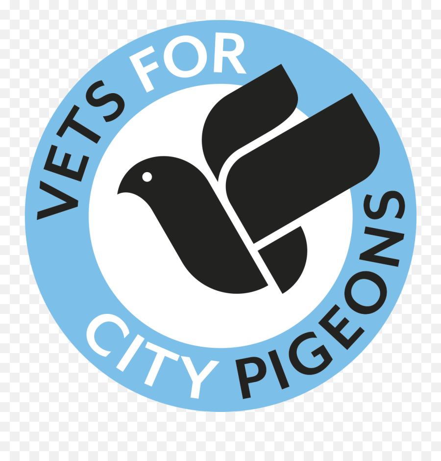 Vets For City Pigeons - Join In Feral Pigeon Png,Pigeons Png