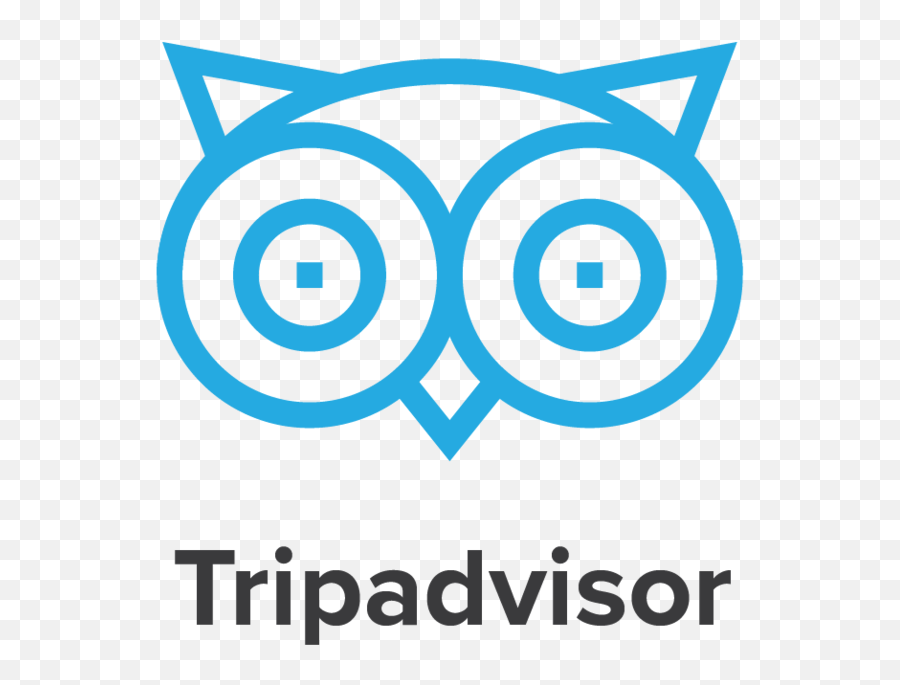 Cool Planet Experience - Icon Tripadvisor Logo Png,Www Png