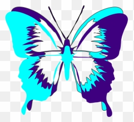 Purple Butterfly Clip Art Free - Black And White Outline Image Of png