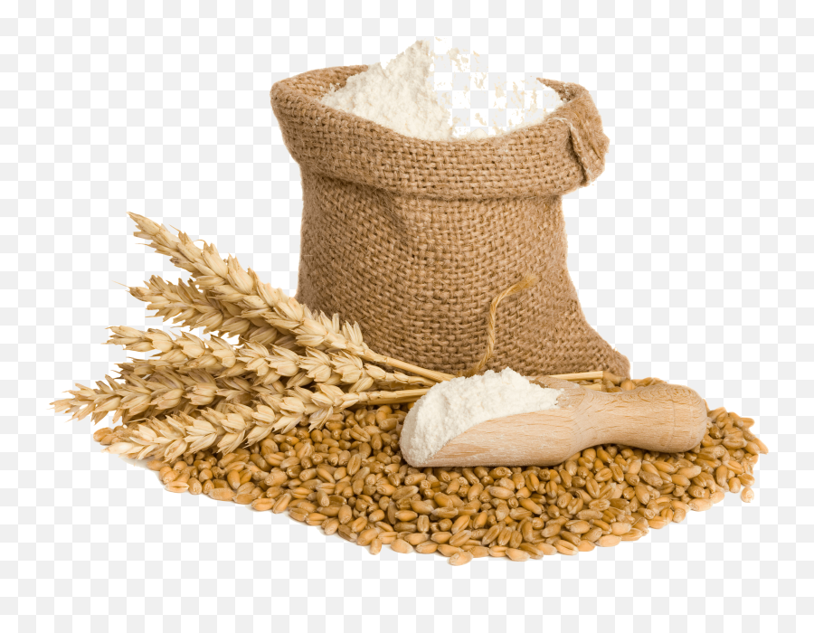 Flour Png Download Image - Wheat Flour Png,Flour Png