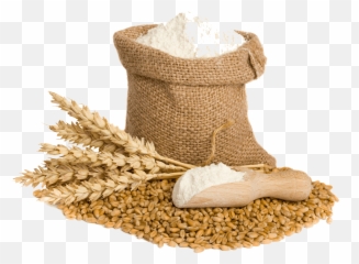 Flour Png Download Image - Wheat Flour Png,Flour Png