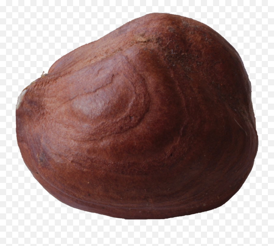 Hazelnut - Baked Goods Png,Hazelnut Png