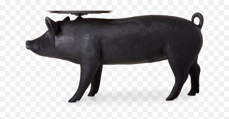 Pig Table - Moooi Pig Table Png,Pigs Png