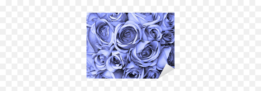 Blue Roses Sticker U2022 Pixers - We Live To Change Rose Png,Blue Rose Png