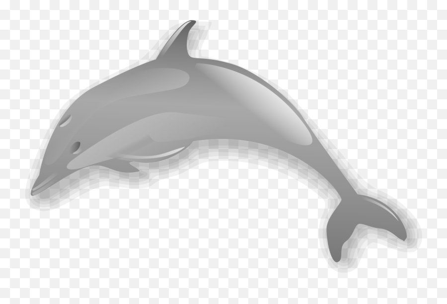 Short Beaked Common Dolphinwhales Dolphins And Porpoises - Dolphin Clip Art Png,Dolphin Png