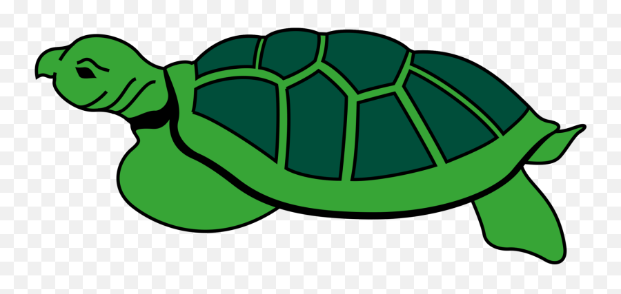 Turtlereptileleaf Png Clipart - Royalty Free Svg Png Gambar Animasi Kura Kura,Turtle Png