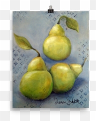 Art Print Just Picked Pears - 8x10 U2014 Sharon Sudduth Studio Png,Pears Png