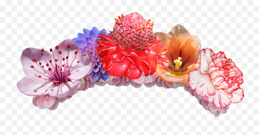 Flower Crown - Transparent Background Flower Crown Png,Flower Crown  Transparent Png - free transparent png images 