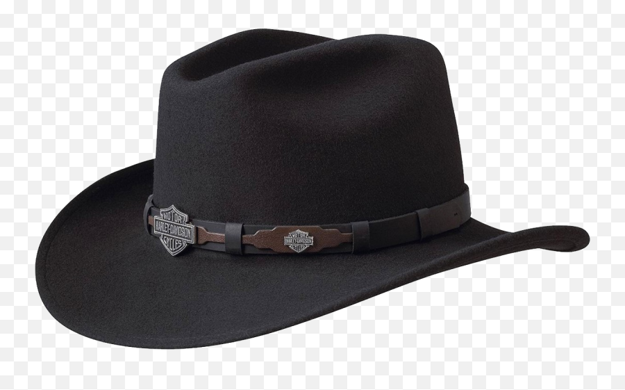 Cowboy Hat Png - Cowboy Hat Transparent Hat Png,Black Cowboy Hat Png
