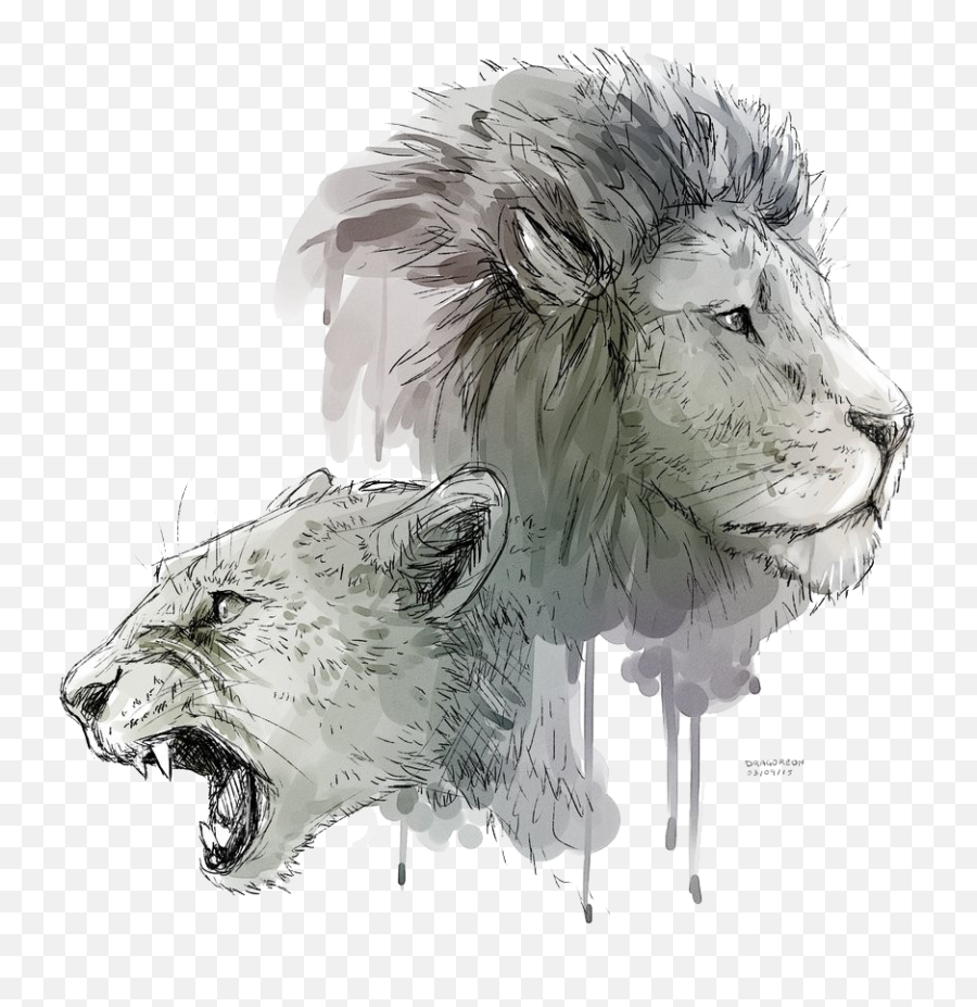 Download Lion Art Png Transparent - Uokplrs Lion And Lioness Drawing,Baby Lion Png