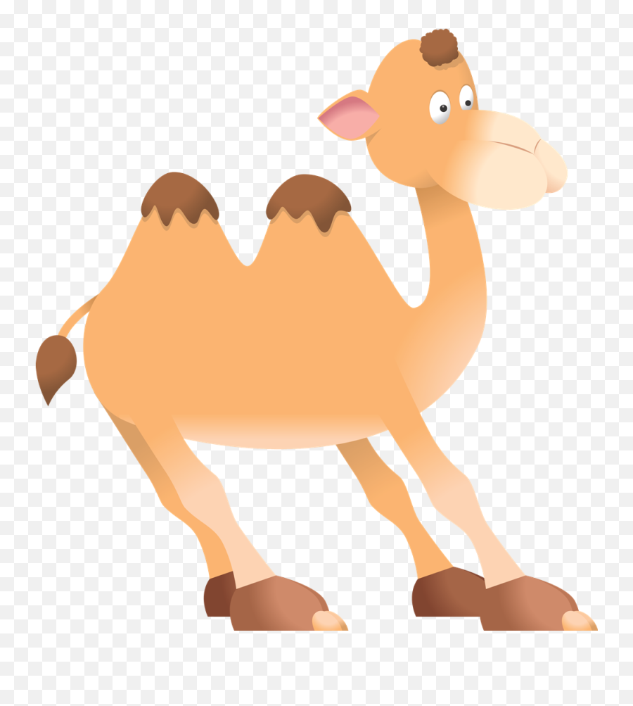 Funny Camel Clipart Pictures Image 2 - Clipartbarn Clipart Camel Png,Camel Transparent Background