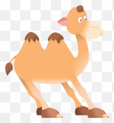 Funny Camel Clipart Pictures Image 2 - ClipartBarn Camel png