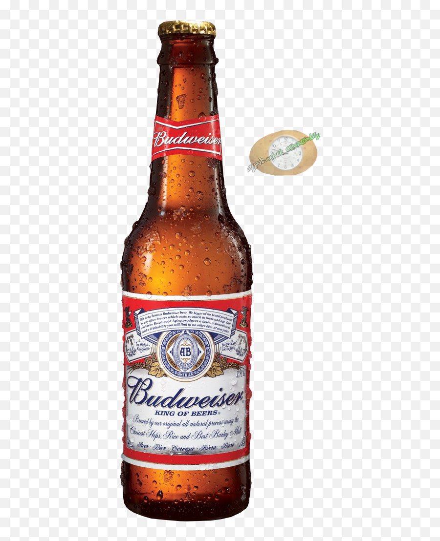 Download Hd Budweiser Beer Bottle Png - Transparent Budweiser Bottle Png,Beer Bottle Png