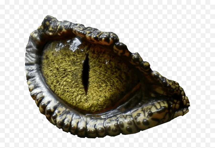 Dinosaur Eye Transparent Background - T Rex Eye Png,Eye Transparent