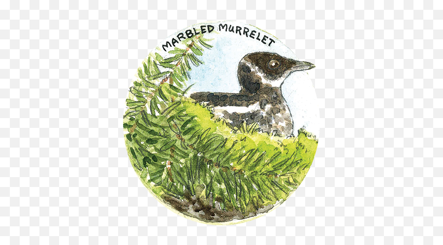 Habitat And Wildlife North Coast Land Conservancy - Loons Png,Animal Den Icon