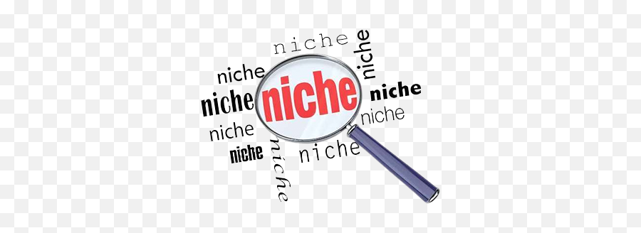 Niche Publications - Niche Markets Png,Niche Icon