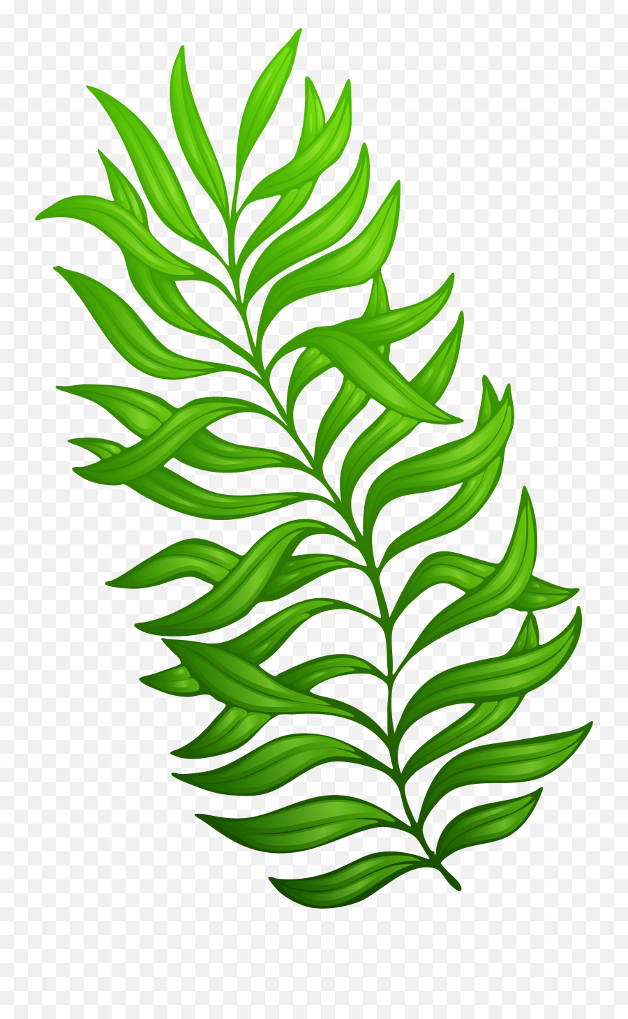 Green Plant Png Clipart Image - Plant Clip Art Png,Plant Png