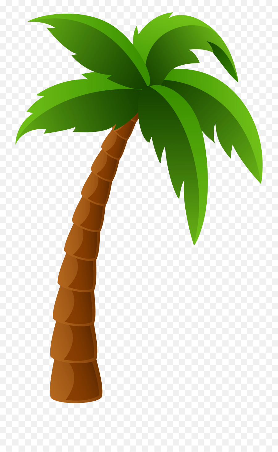 Png Plants Palm Tree Cliparts Clip Art