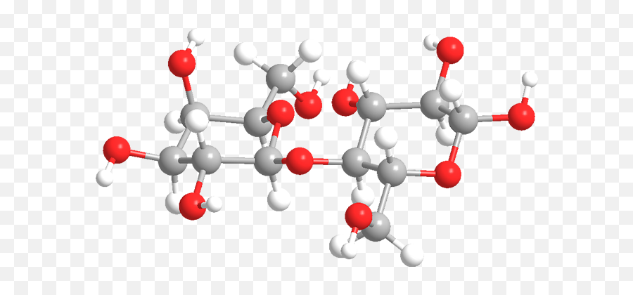 D - Lactose American Chemical Society Lactose 3d Structure Png,D&d Druid Icon