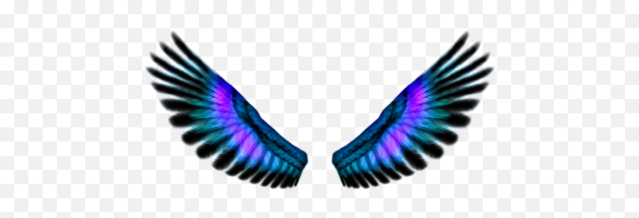 Blue Fairy Wings Png 36485 - Free Icons And Png Backgrounds Blue Bird Wings Png,Wings Png Transparent