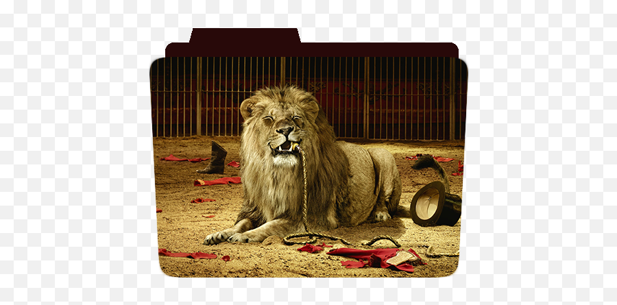 Creative Folders A Twitter Asusbrandlogo Asusfoldericon - Lock Screen Angry Lion Png,Twitter Icon 2018