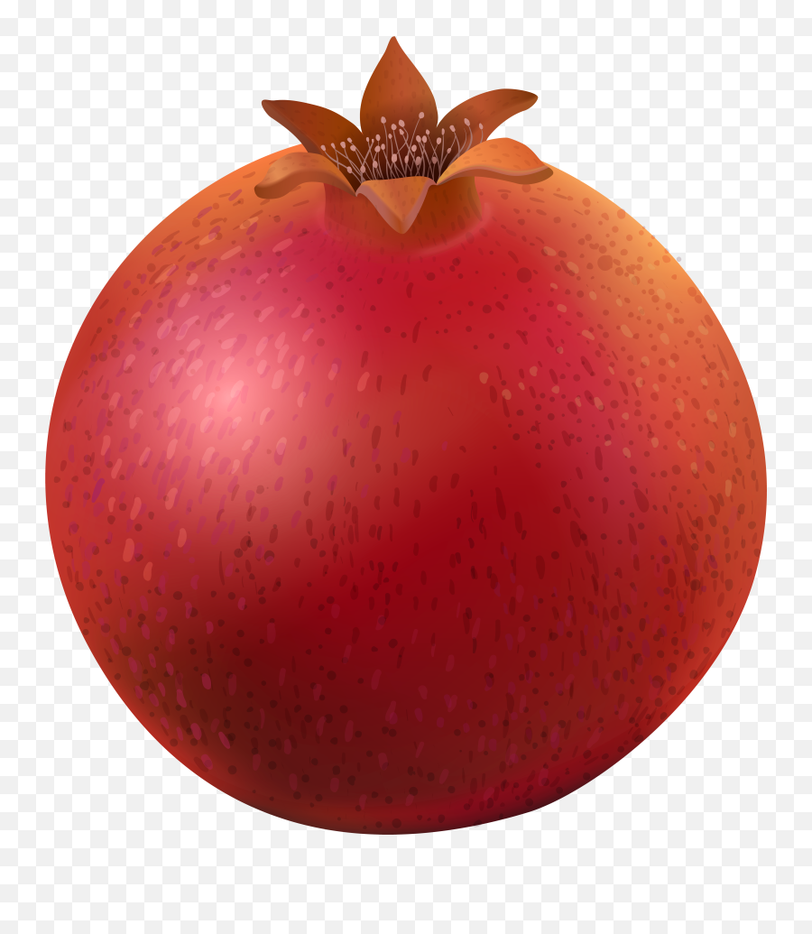 Pomegranate Transparent Png Clipart