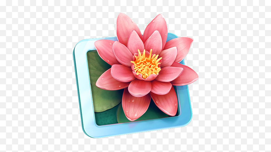 Set Of Mac Os Icons - Flower Game Icon Png,Water Lily Icon